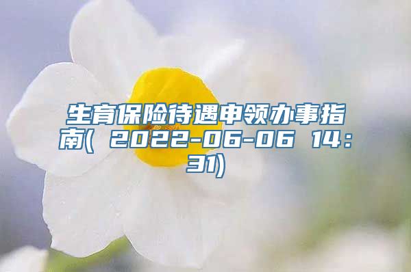 生育保险待遇申领办事指南( 2022-06-06 14：31)