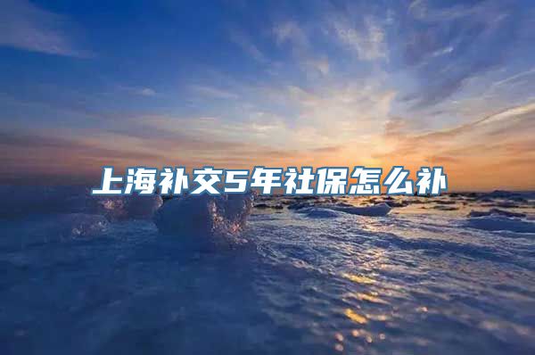 上海补交5年社保怎么补