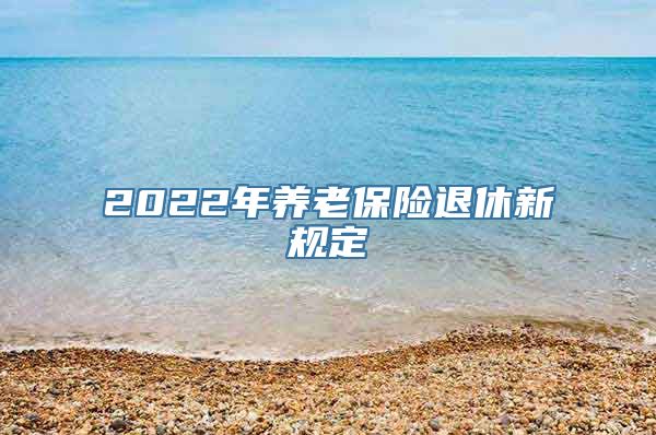 2022年养老保险退休新规定