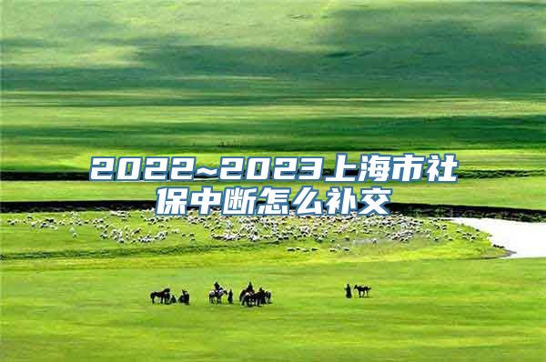 2022~2023上海市社保中断怎么补交