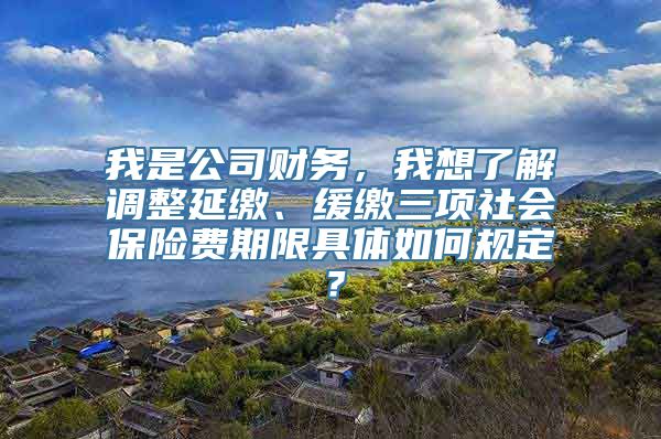 我是公司财务，我想了解调整延缴、缓缴三项社会保险费期限具体如何规定？