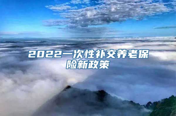 2022一次性补交养老保险新政策