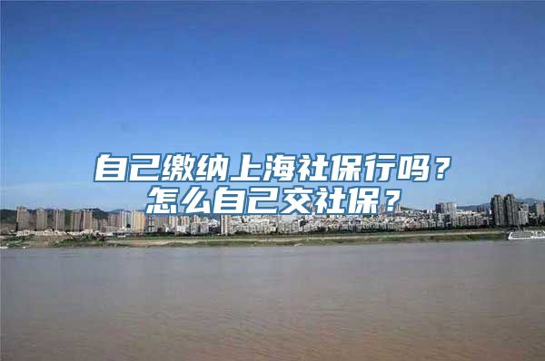 自己缴纳上海社保行吗？怎么自己交社保？