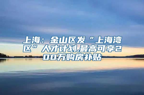 上海：金山区发“上海湾区”人才计划,最高可享200万购房补贴