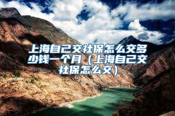 上海自己交社保怎么交多少钱一个月（上海自己交社保怎么交）