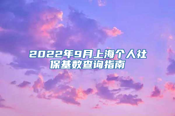 2022年9月上海个人社保基数查询指南