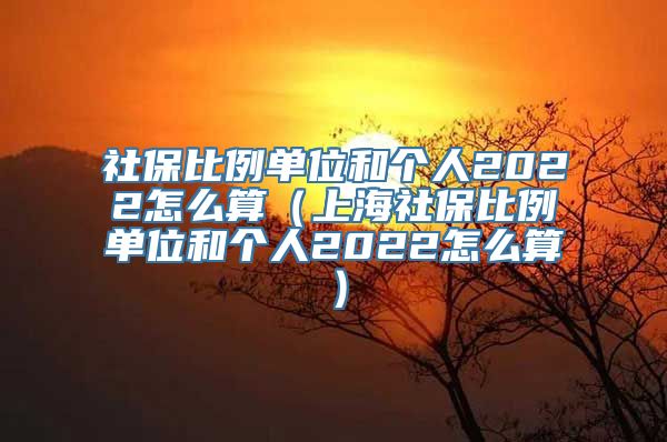 社保比例单位和个人2022怎么算（上海社保比例单位和个人2022怎么算）