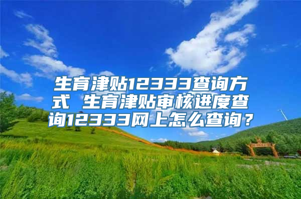 生育津贴12333查询方式 生育津贴审核进度查询12333网上怎么查询？