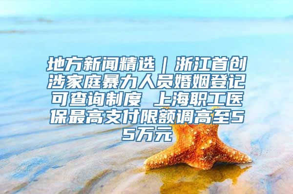 地方新闻精选｜浙江首创涉家庭暴力人员婚姻登记可查询制度 上海职工医保最高支付限额调高至55万元