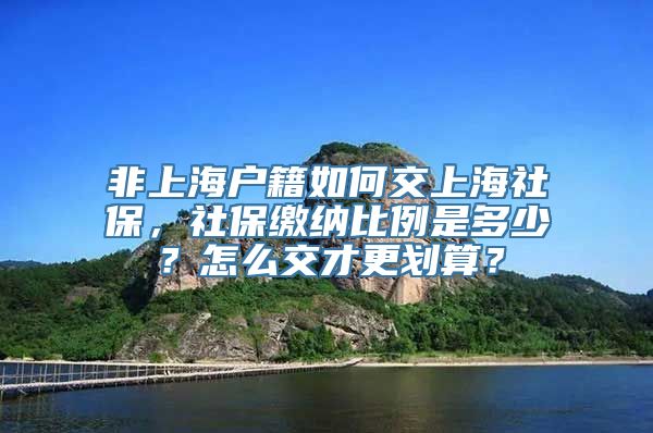 非上海户籍如何交上海社保，社保缴纳比例是多少？怎么交才更划算？