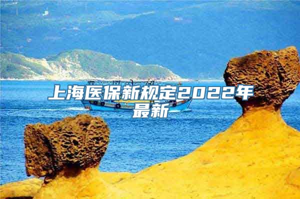 上海医保新规定2022年最新