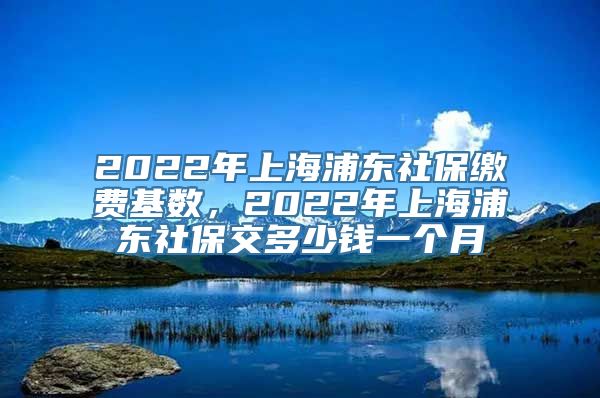 2022年上海浦东社保缴费基数，2022年上海浦东社保交多少钱一个月