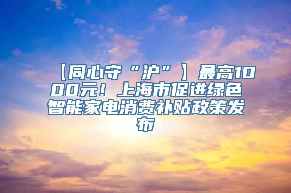 【同心守“沪”】最高1000元！上海市促进绿色智能家电消费补贴政策发布