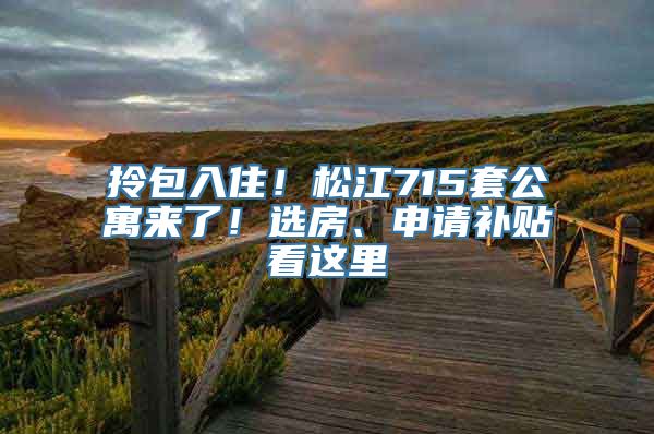 拎包入住！松江715套公寓来了！选房、申请补贴看这里→