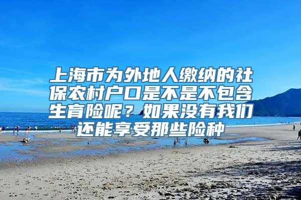 上海市为外地人缴纳的社保农村户口是不是不包含生育险呢？如果没有我们还能享受那些险种