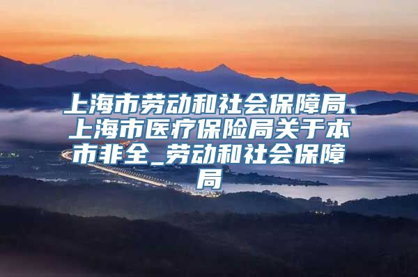 上海市劳动和社会保障局、上海市医疗保险局关于本市非全_劳动和社会保障局