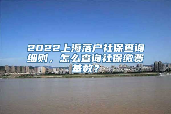 2022上海落户社保查询细则，怎么查询社保缴费基数？