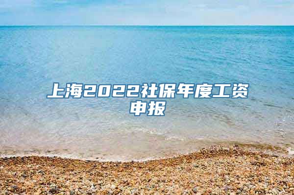 上海2022社保年度工资申报