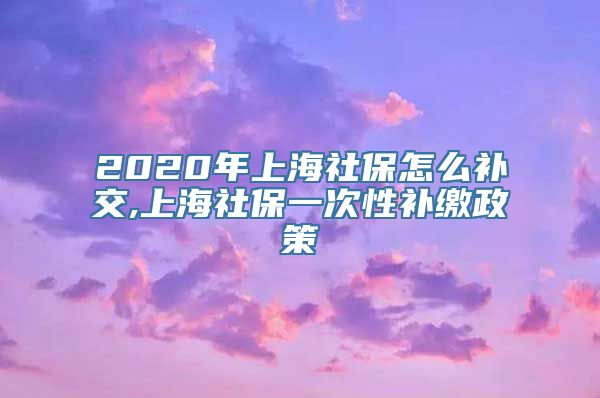 2020年上海社保怎么补交,上海社保一次性补缴政策