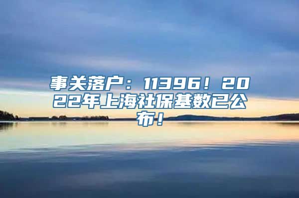 事关落户：11396！2022年上海社保基数已公布！