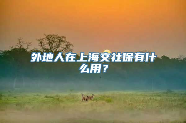 外地人在上海交社保有什么用？