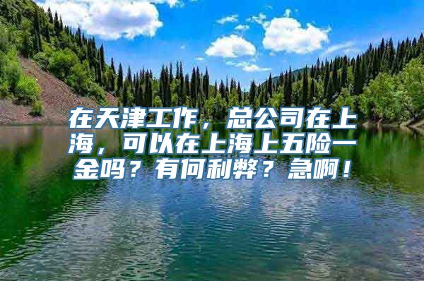 在天津工作，总公司在上海，可以在上海上五险一金吗？有何利弊？急啊！