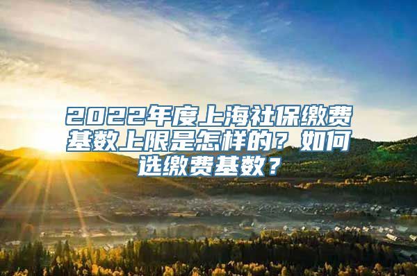 2022年度上海社保缴费基数上限是怎样的？如何选缴费基数？