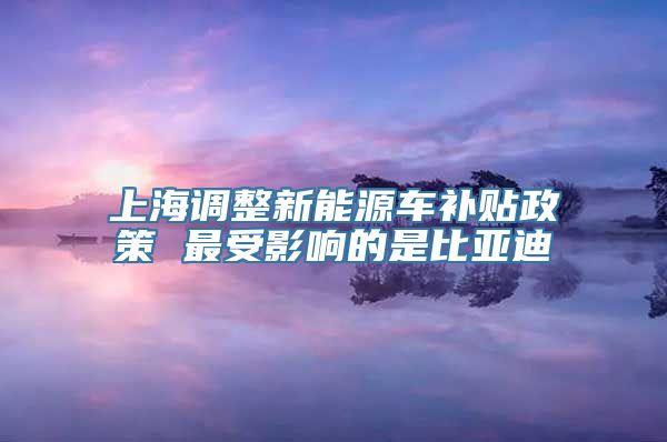 上海调整新能源车补贴政策 最受影响的是比亚迪