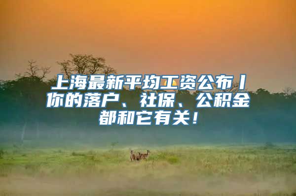 上海最新平均工资公布丨你的落户、社保、公积金都和它有关！