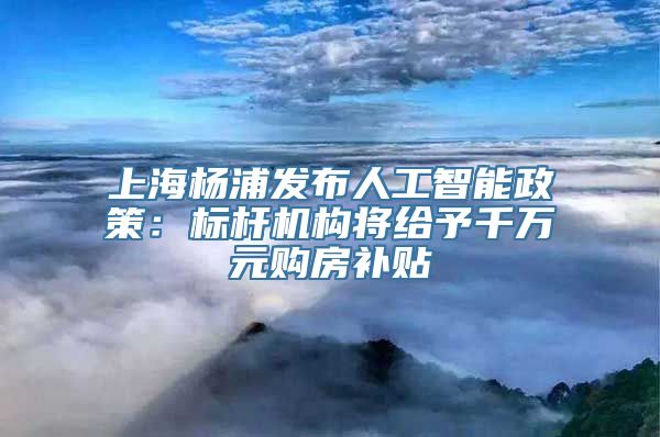 上海杨浦发布人工智能政策：标杆机构将给予千万元购房补贴