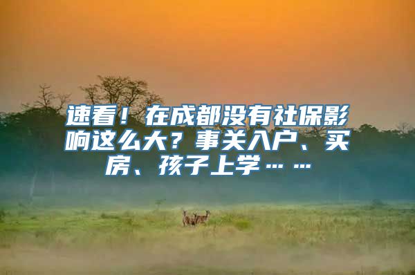 速看！在成都没有社保影响这么大？事关入户、买房、孩子上学……