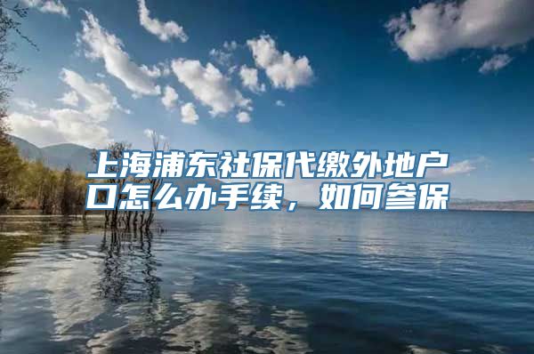 上海浦东社保代缴外地户口怎么办手续，如何参保