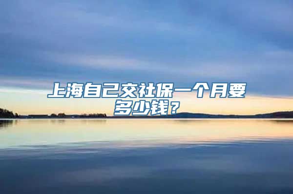 上海自己交社保一个月要多少钱？