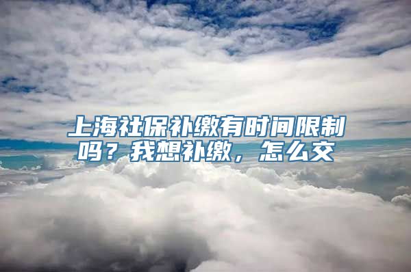 上海社保补缴有时间限制吗？我想补缴，怎么交