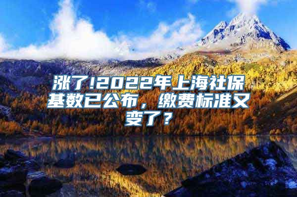 涨了!2022年上海社保基数已公布，缴费标准又变了？