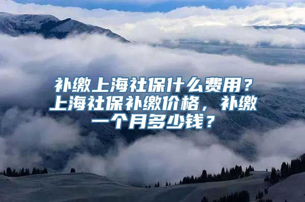 补缴上海社保什么费用？上海社保补缴价格，补缴一个月多少钱？