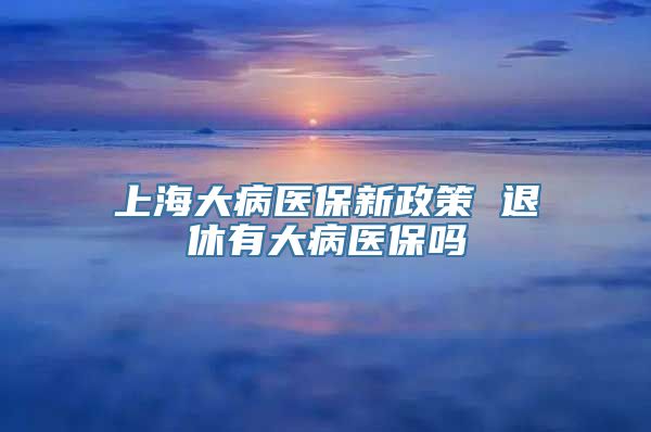 上海大病医保新政策 退休有大病医保吗