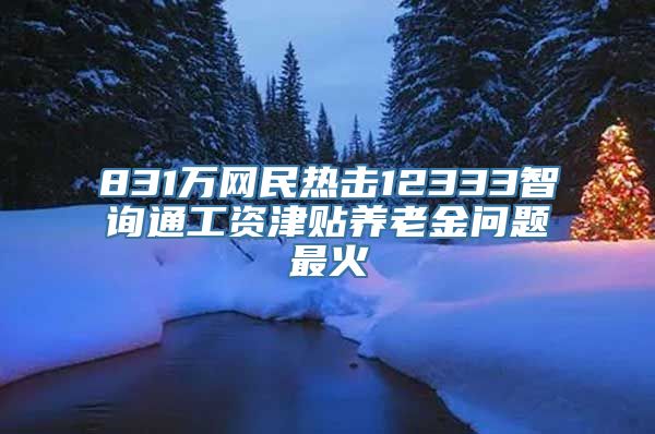 831万网民热击12333智询通工资津贴养老金问题最火