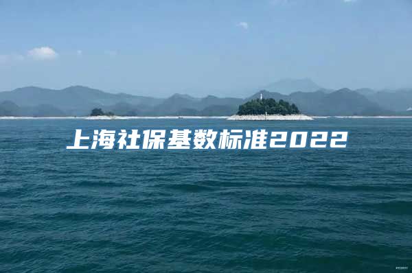 上海社保基数标准2022