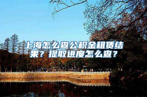 上海怎么查公积金租赁结果？提取进度怎么查？