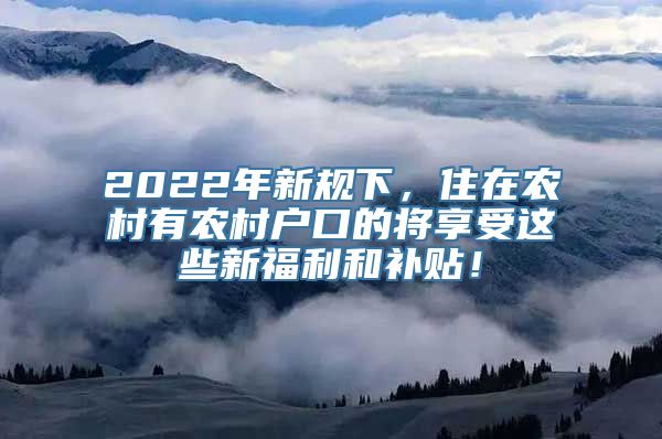 2022年新规下，住在农村有农村户口的将享受这些新福利和补贴！