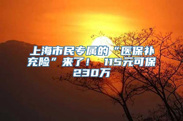 上海市民专属的“医保补充险”来了！ 115元可保230万→