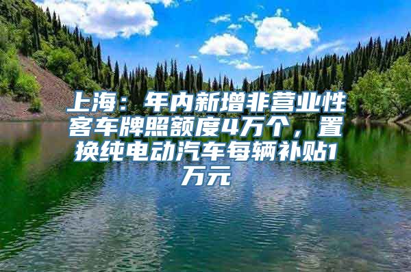 上海：年内新增非营业性客车牌照额度4万个，置换纯电动汽车每辆补贴1万元