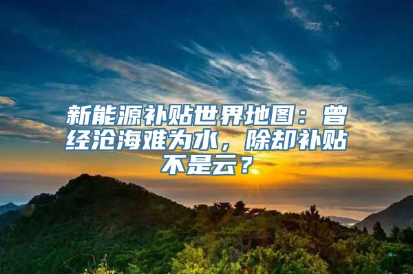 新能源补贴世界地图：曾经沧海难为水，除却补贴不是云？