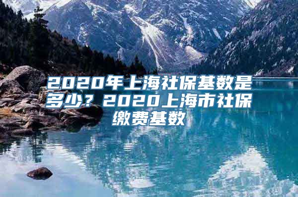 2020年上海社保基数是多少？2020上海市社保缴费基数