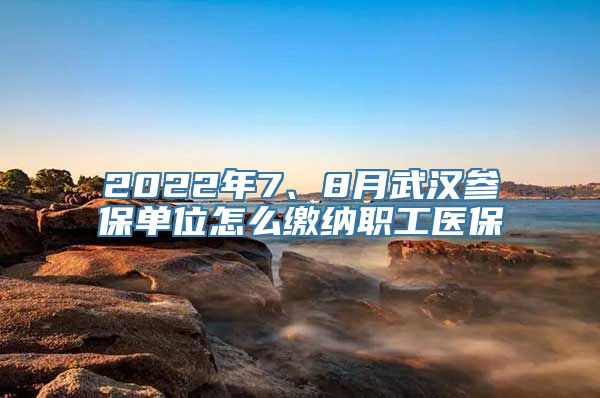 2022年7、8月武汉参保单位怎么缴纳职工医保