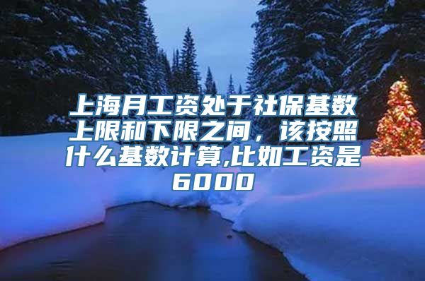 上海月工资处于社保基数上限和下限之间，该按照什么基数计算,比如工资是6000