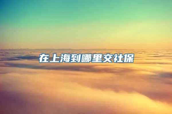 在上海到哪里交社保