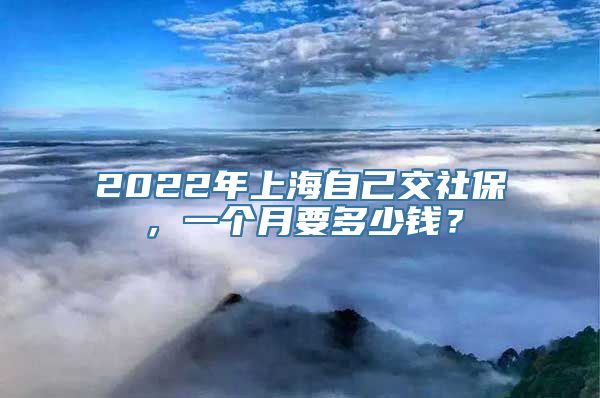 2022年上海自己交社保，一个月要多少钱？