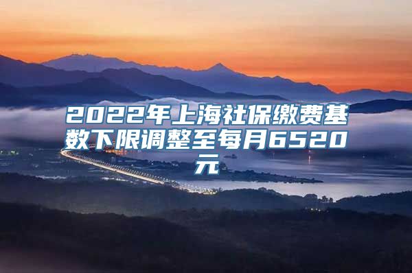 2022年上海社保缴费基数下限调整至每月6520元